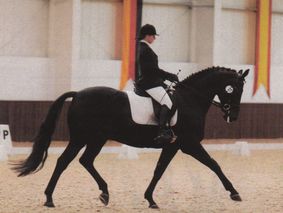 Beth Barnett riding Sheepcote Rolex