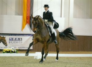 Serena Pincus riding Sheepcote Diorissima