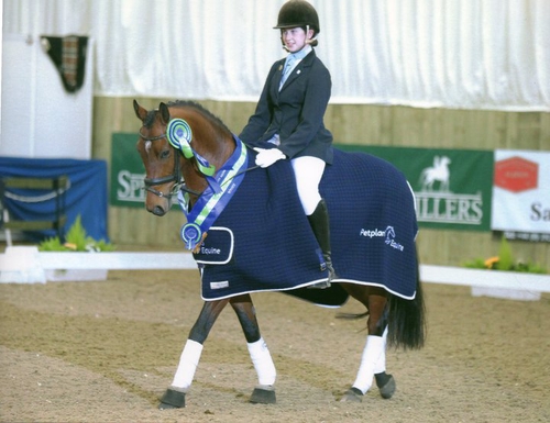 Lucy wins Petplan Novice Restricted Area Festival Championship