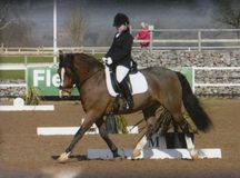 Cherylea Cameron riding Adamski