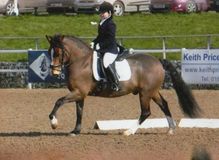 Cherylea Cameron riding Adamski