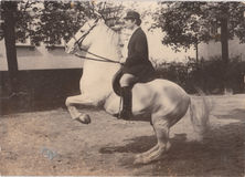 David Pincus riding at the Spanish Riding School