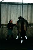 David Pincus working a horse in-hand