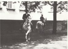 David Pincus riding at the Spanish Riding School