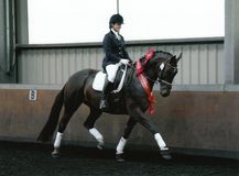 Lucy Pincus riding Sheepcote Doncalisto