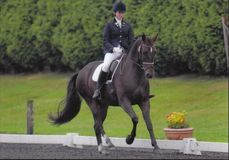 Lucy Pincus riding Sheepcote Doncalisto