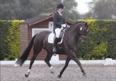 Lucy Pincus riding Sheepcote Doncalisto