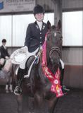 Lucy Pincus riding Sheepcote Doncalisto