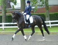 Lucy Pincus riding Sheepcote Doncalisto