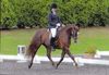 Lucy Pincus riding Sheepcote Rock on