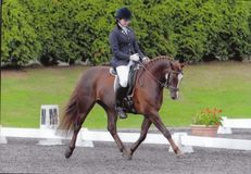 Lucy Pincus riding Sheepcote Rock On