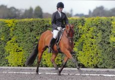 Lucy Pincus riding Sheepcote Sandmartin