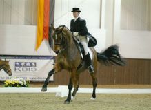 Serena Pincus riding Diorissima